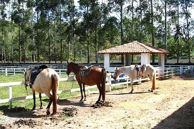 Resort Recanto Do Teixeira All Inclusive Nazaré Paulista Екстериор снимка